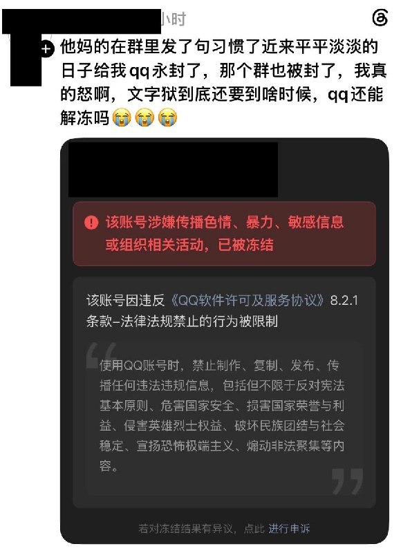 习近平讳称后续：众多网友试探性的“平平淡淡的日子”温和冲塔遭到当局严酷打击