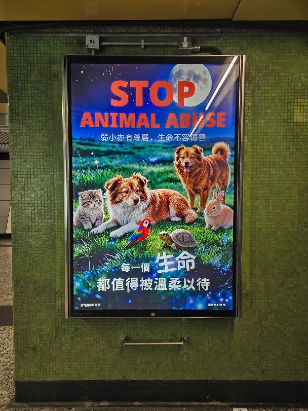 8月22日，香港网友陆续晒出照片，称在港铁石硖尾站、青衣站等地看到声援“旺旺”和“来福”的反虐待动物灯箱广告