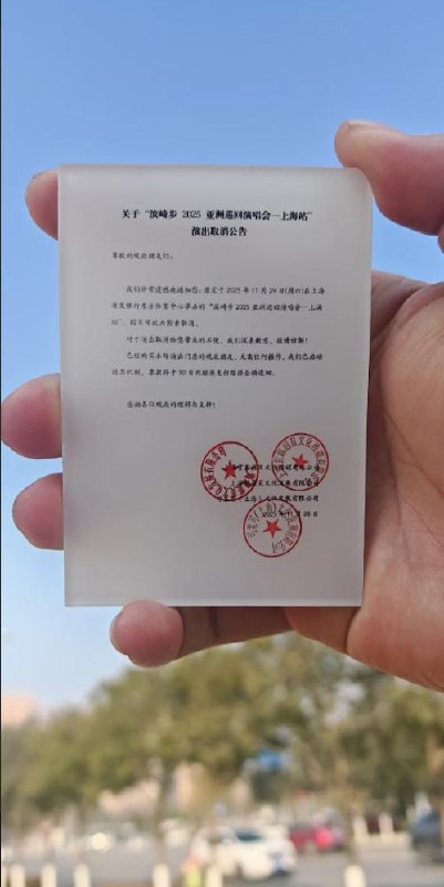 小红书网友自制滨崎步上海演唱会周边