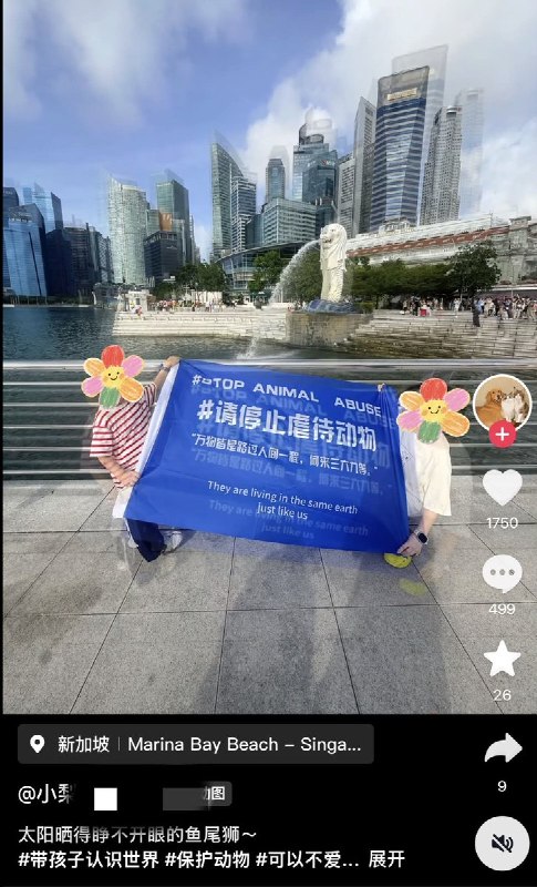 从街头到音乐节，各地的网友持续接力，声援广东揭阳遭虐杀小狗“旺旺”