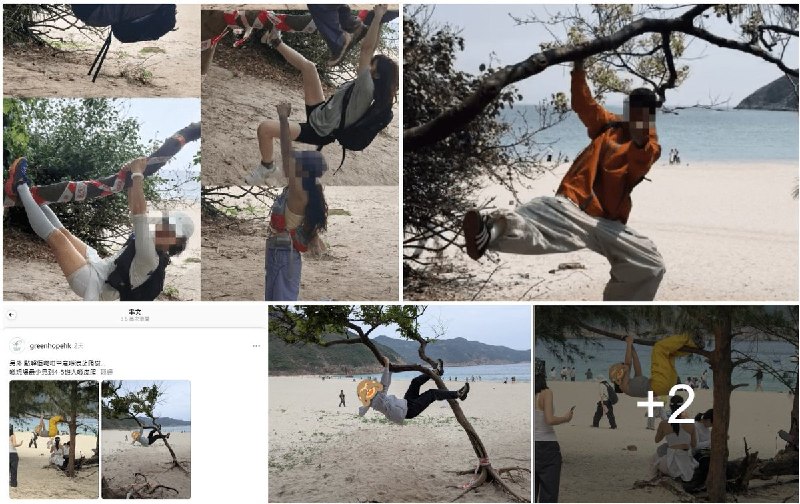 近日，港媒报道，小红书上日前掀起一股「抱树打卡」热潮，不少内地游客来香港郊外公园游玩时，不顾政府部门的危险警告，爬上树木只为打卡拍照